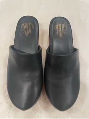 Charlotte Stone Black Leather Mule Clogs